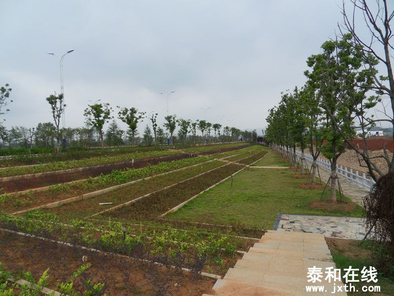 SDC14341.jpg