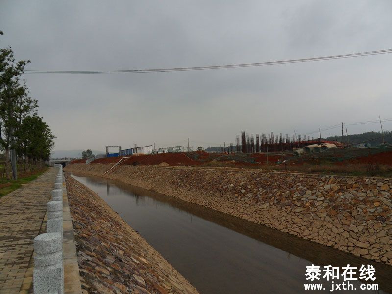 SDC14342.jpg