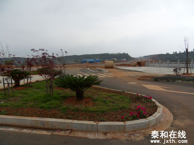 SDC14346.jpg