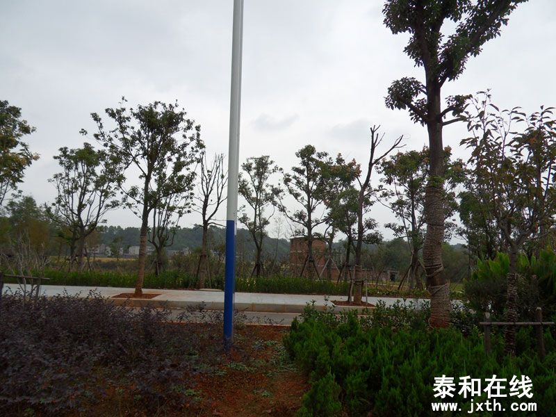 SDC14333.jpg