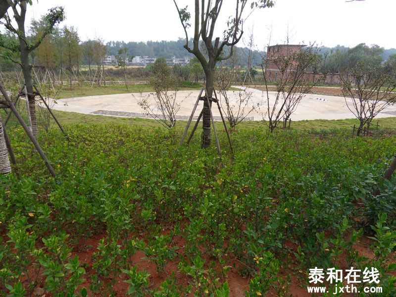 SDC14334.jpg