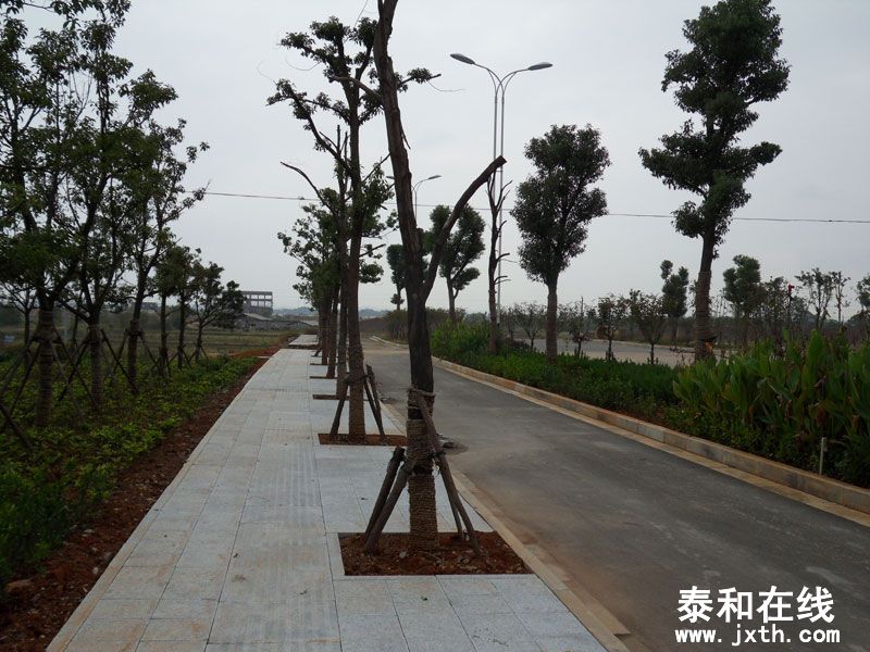 SDC14335.jpg