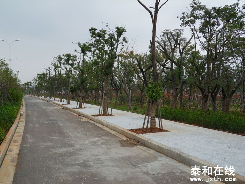 SDC14337.jpg