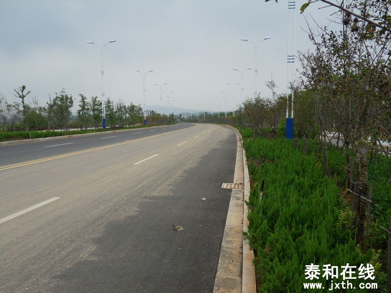 SDC14338.jpg
