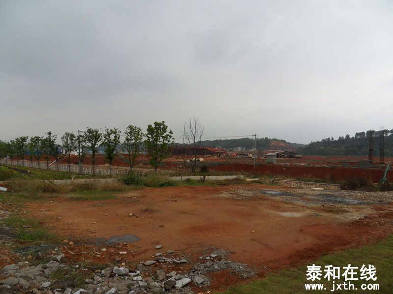 SDC14339.jpg