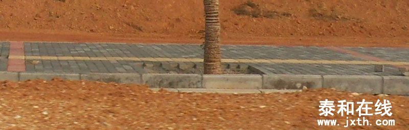 SDC14376.jpg