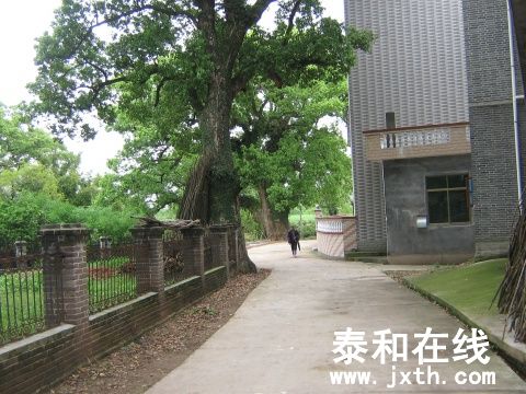48.jpg