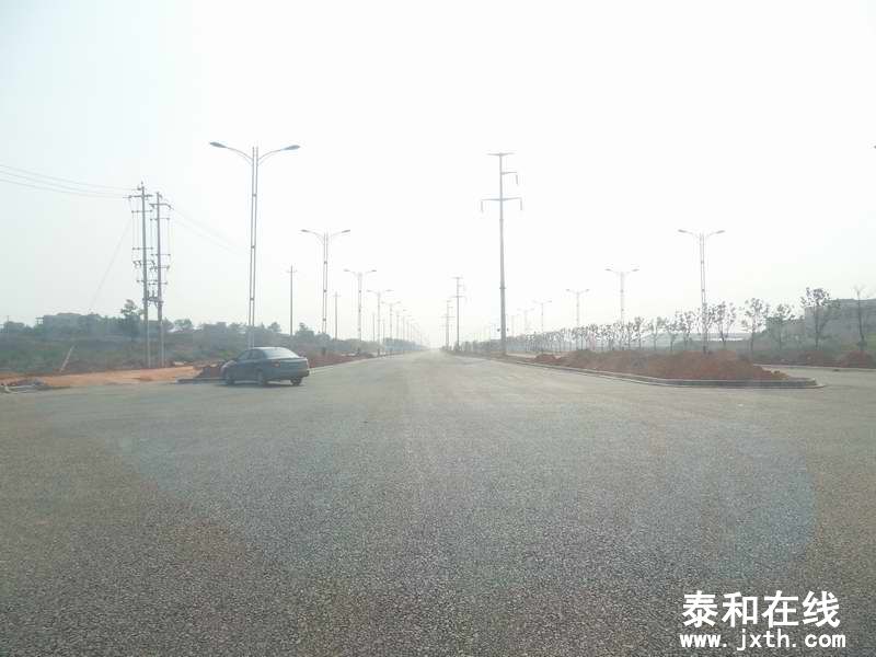 SDC15108.JPG