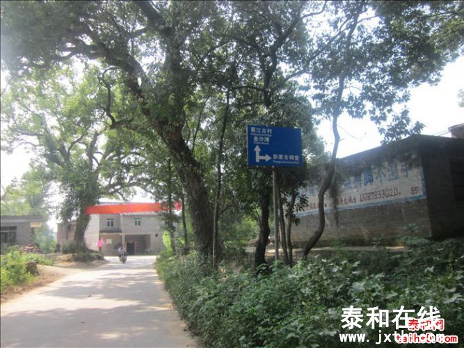 16.jpg