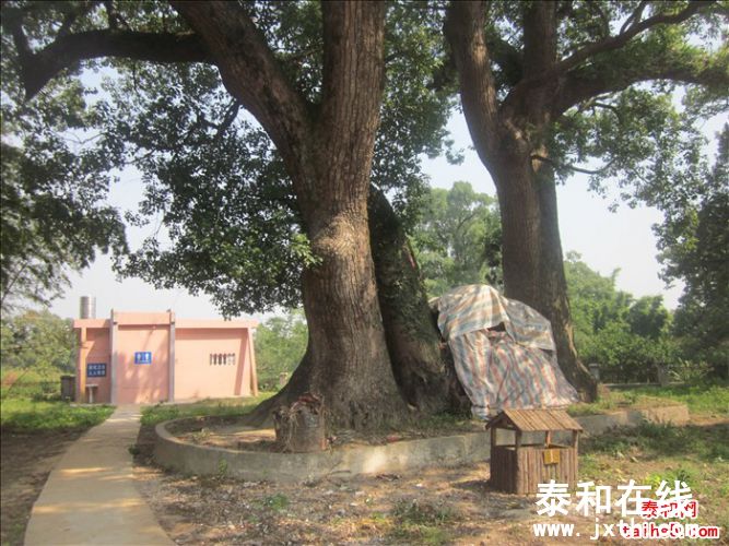 19.jpg