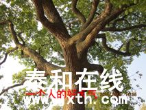 IMG_6075.jpg