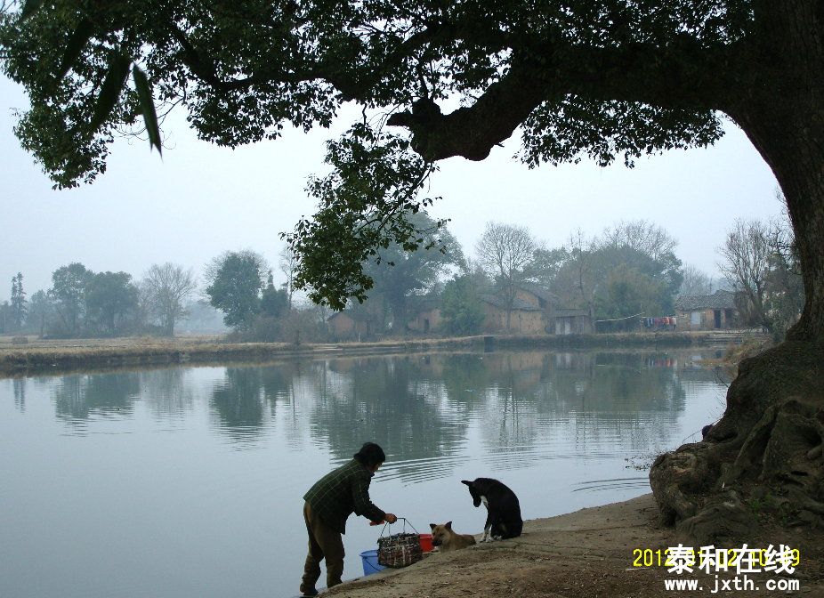 SNV10082.JPG