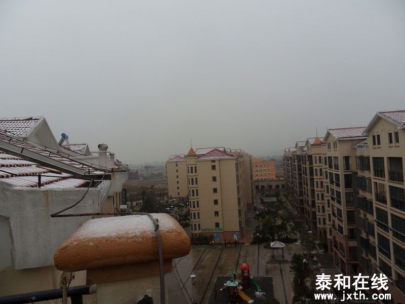 SDC15555.jpg