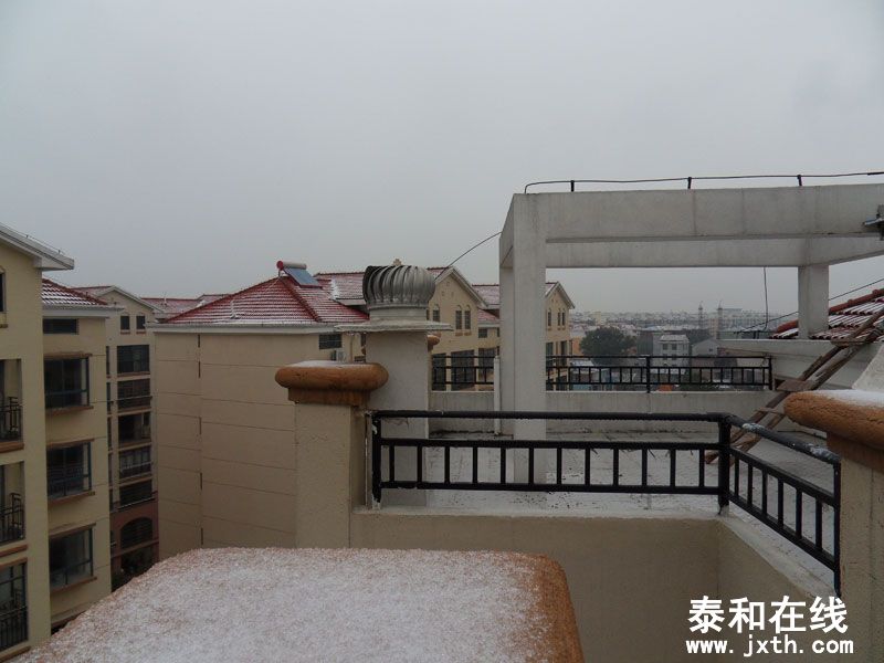 SDC15556.jpg