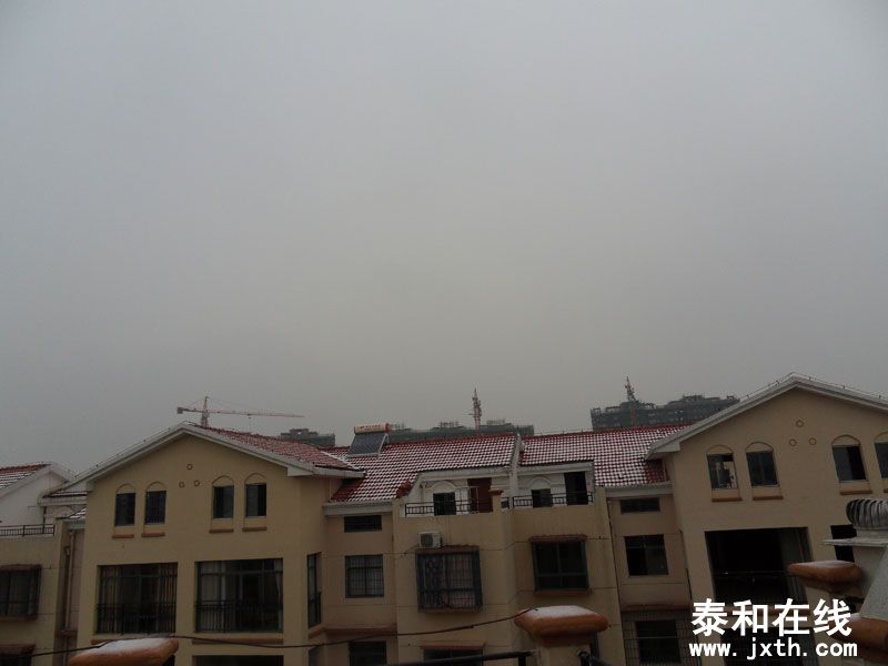 SDC15557.jpg