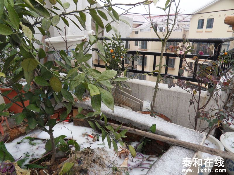 SDC15558.jpg