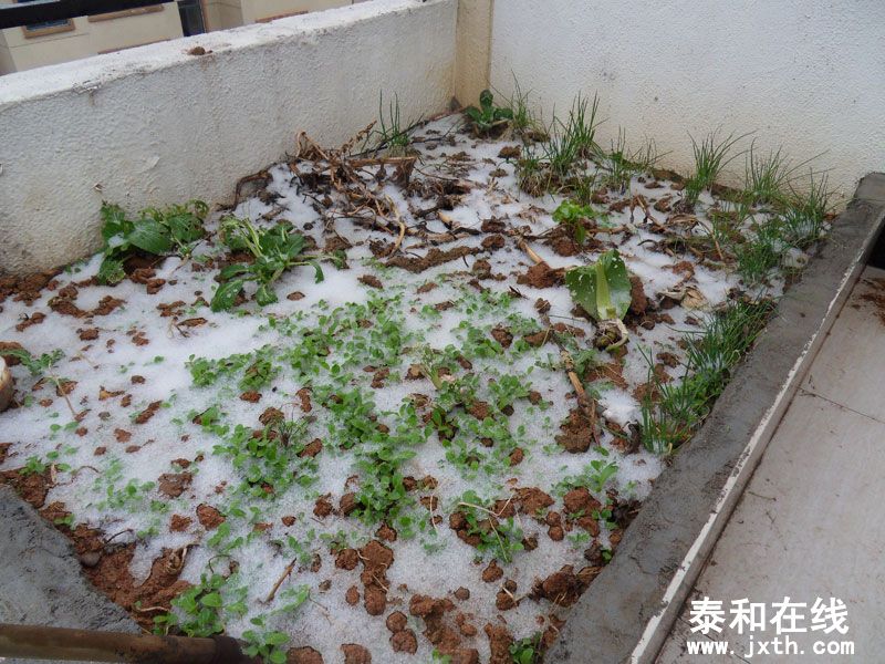SDC15559.jpg