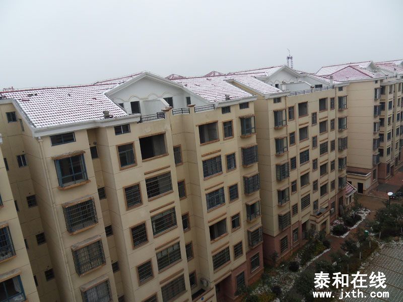 SDC15562.jpg