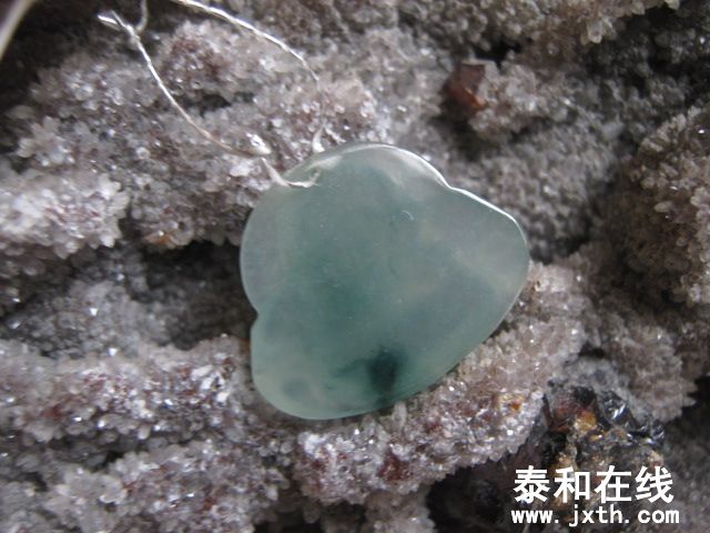 IMG_7975.JPG