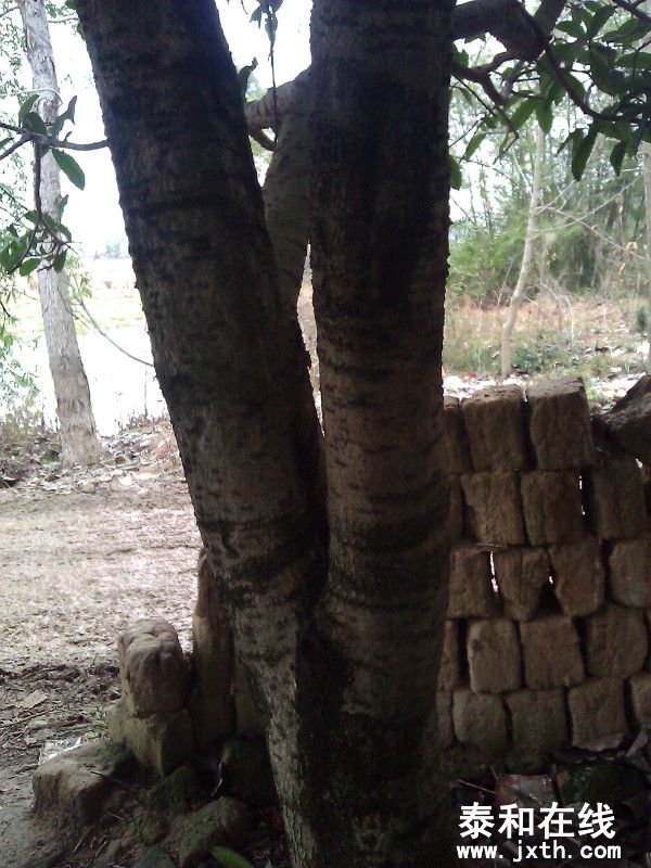 WP_000024.jpg