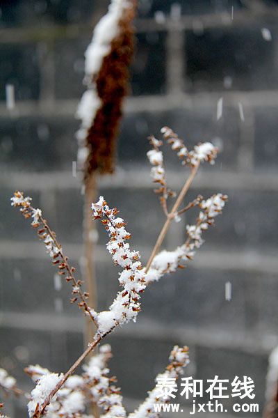 IMG_5451.jpg