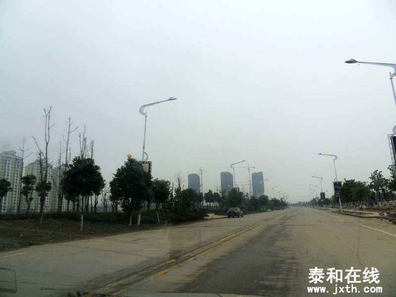 azhangshu2.jpg