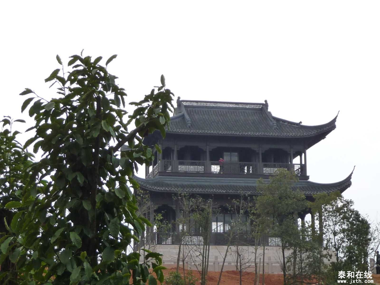 P1010585.JPG