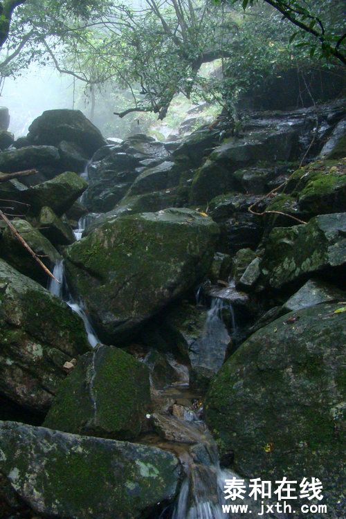 DSC01036.JPG