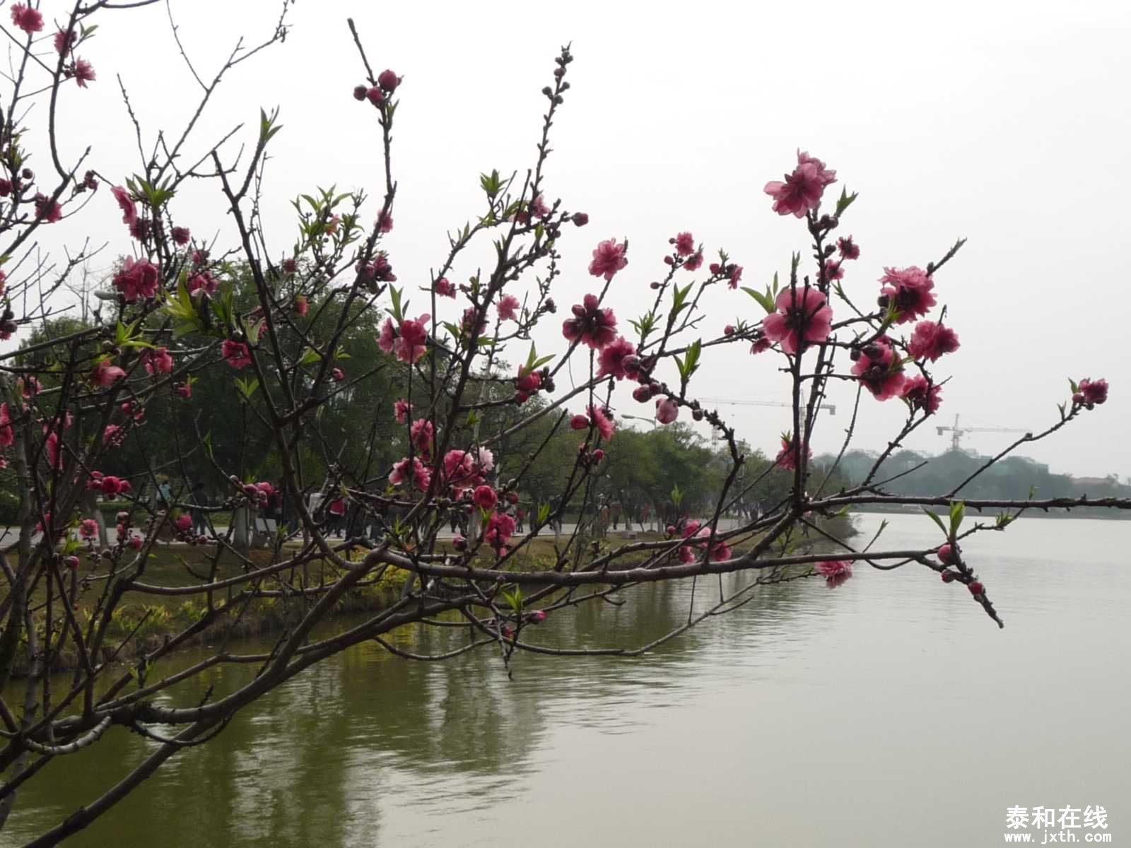 P1010852.JPG