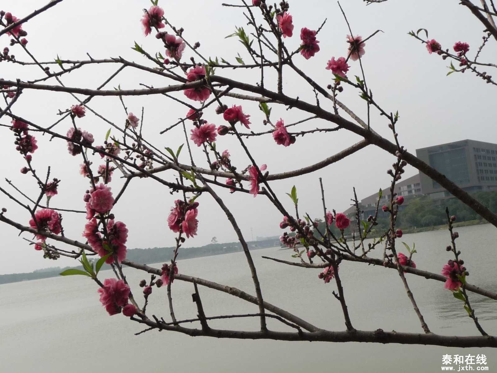 P1010855.JPG