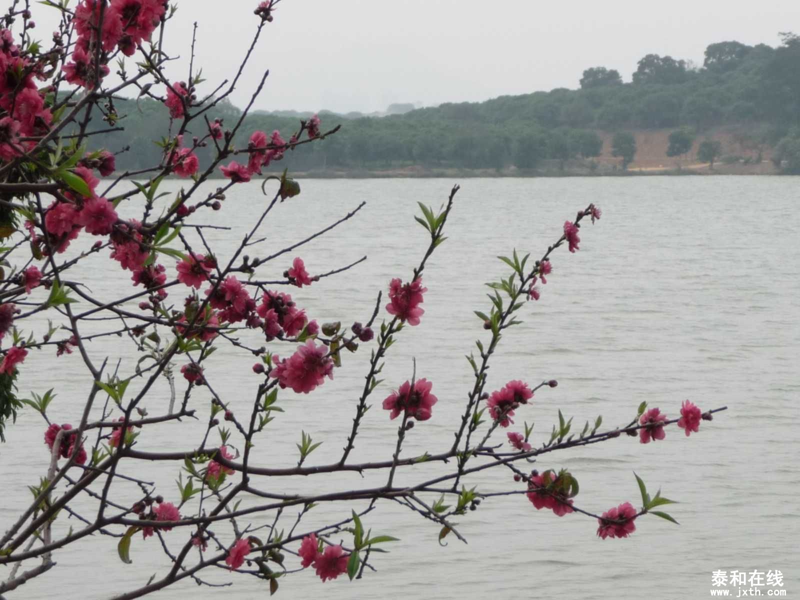 P1010874.JPG