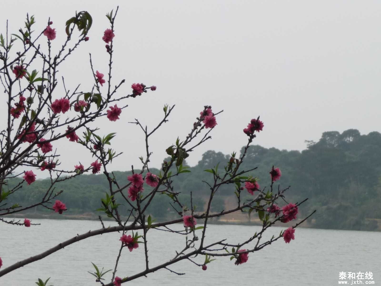 P1010876.JPG