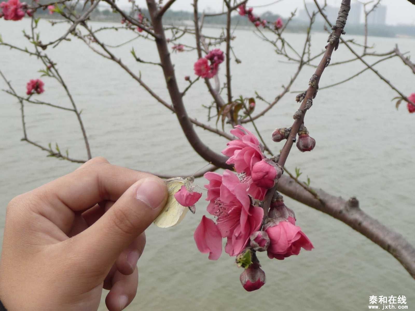 P1010877.JPG