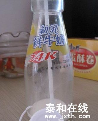 1203061432a007f84b8badca04.jpg