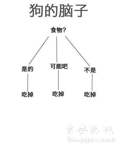 1203051227ff90e4c8d83421ef.jpg