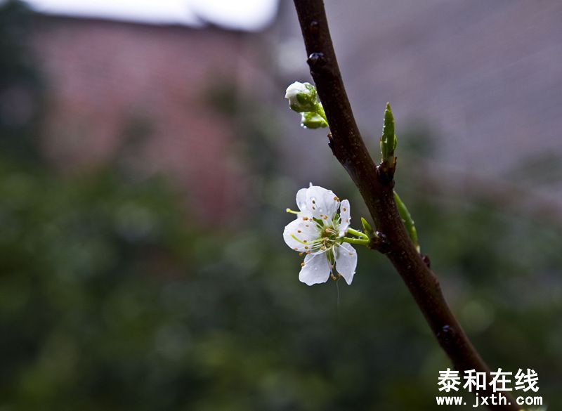 DSC_03162_.jpg