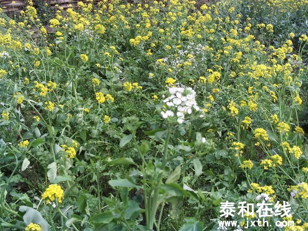 FILE0102.JPG