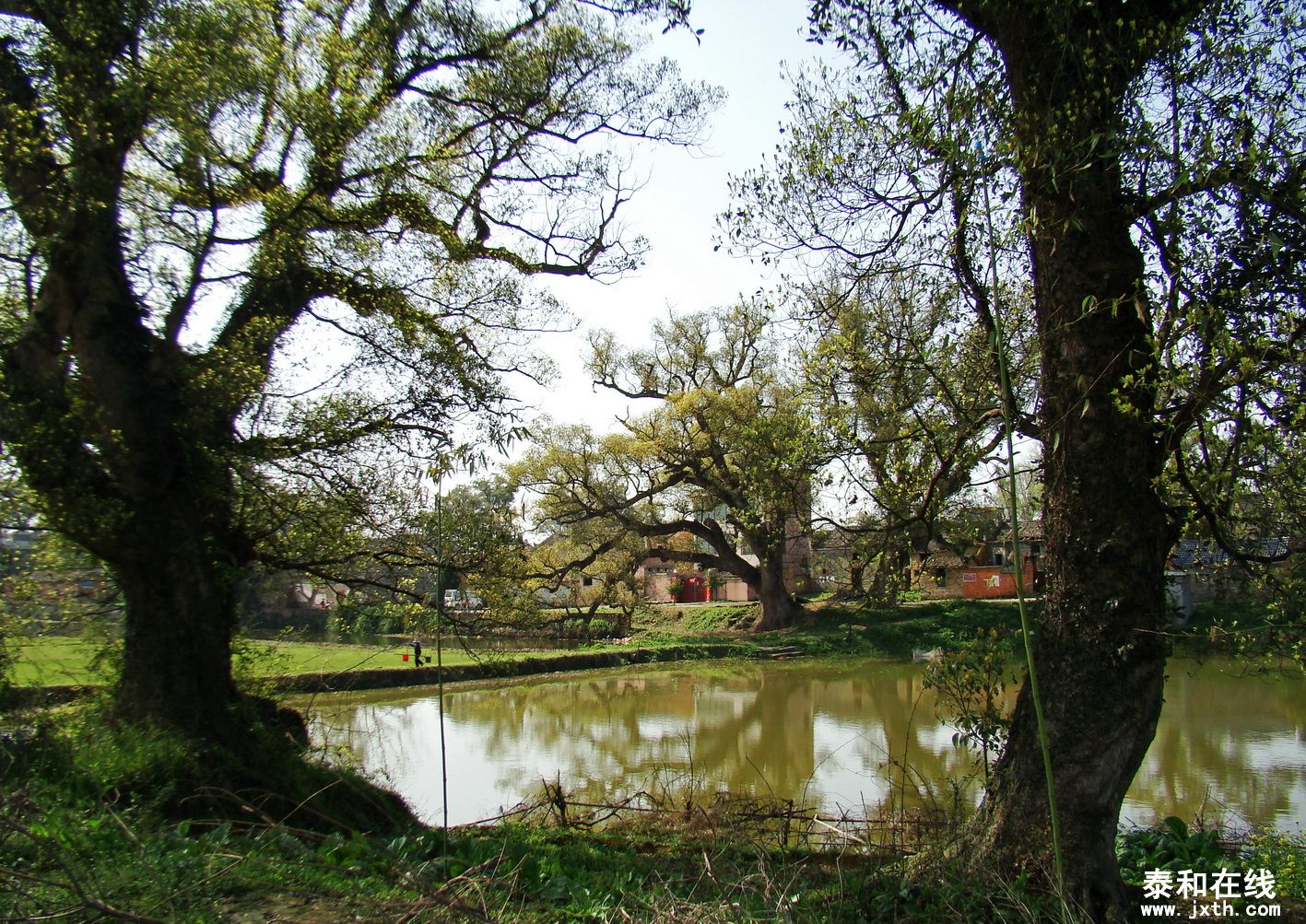 ʨǰ (2).jpg