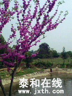 IMG0005A.jpg