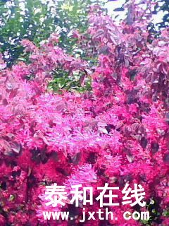 IMG0006B.jpg