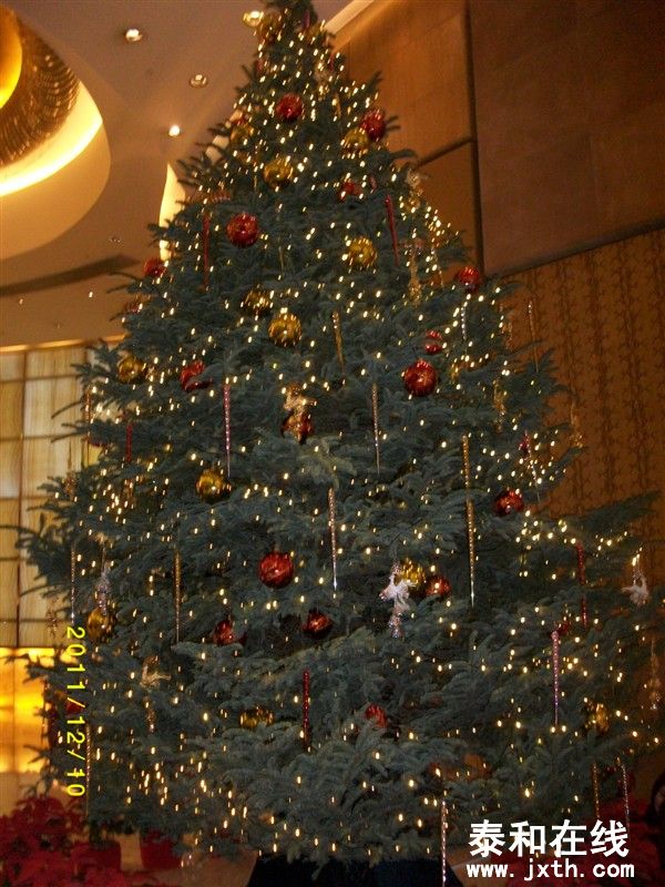 2011У10.jpg