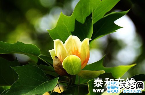 1F93DFF7DFC942401DA20E6A99775889.jpg