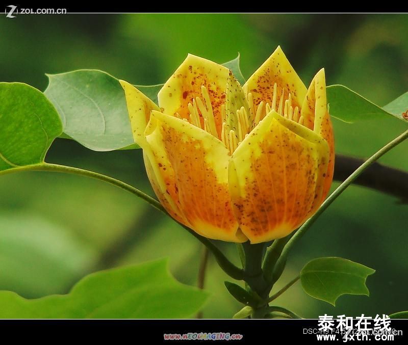 a2045257_s.jpg