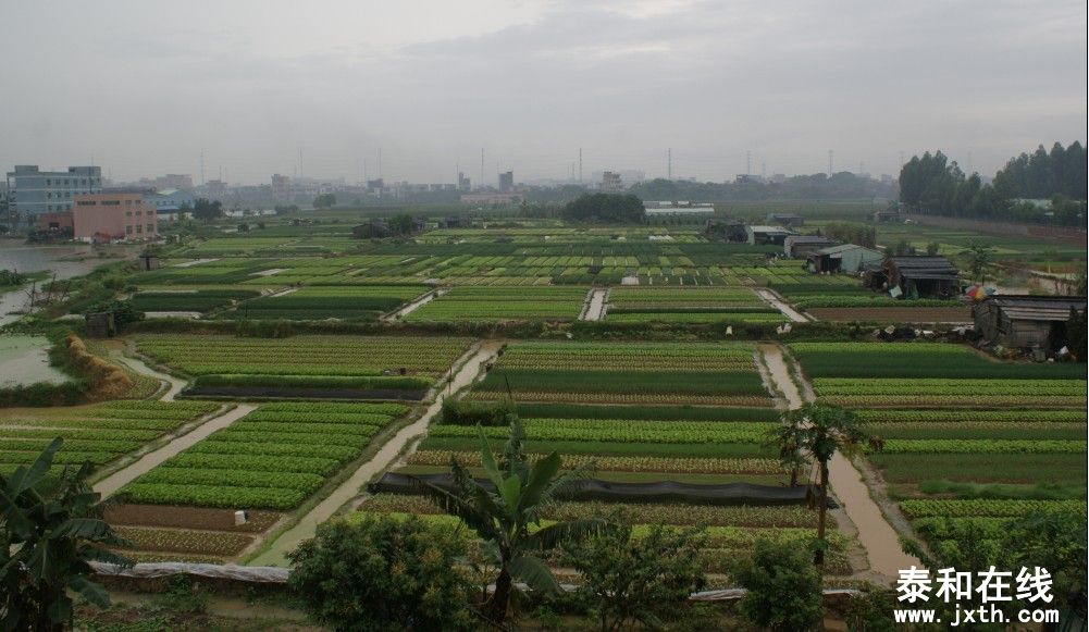 DC00002.jpg