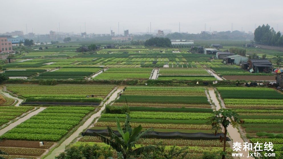 DC00004.jpg
