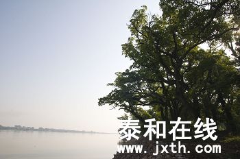 DSC_01912_nEO_IMG.jpg