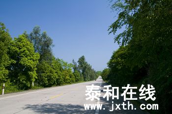 DSC_02272_nEO_IMG.jpg