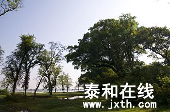 DSC_02052_nEO_IMG.jpg