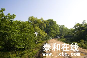 DSC_02072_nEO_IMG.jpg