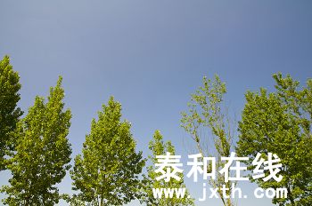DSC_02312_nEO_IMG.jpg